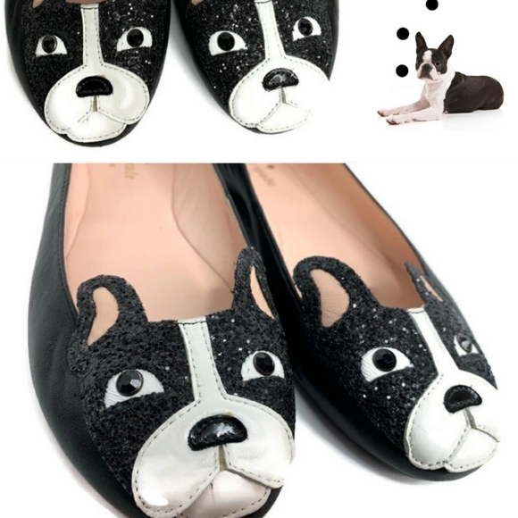 boston terrier flats